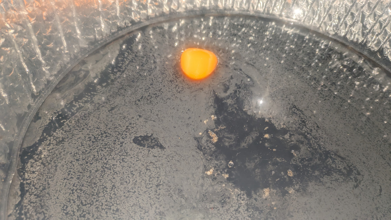 PXL 20251112 135626101