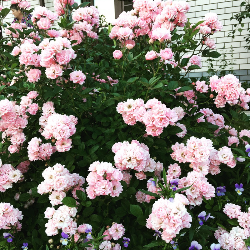 4BA58D8E-7E36-451B-9302-D48CD9E2D281