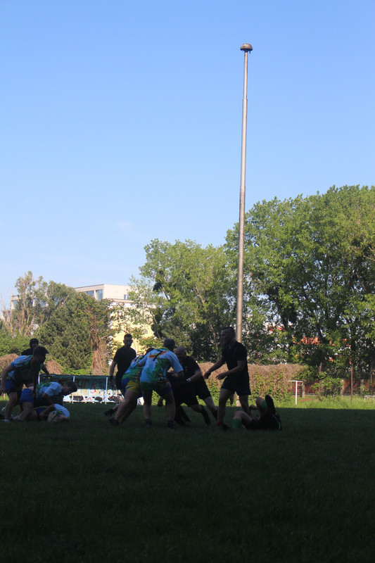 IMG-0538