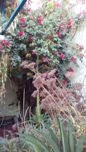 IMG_20170414_1803070_rewind