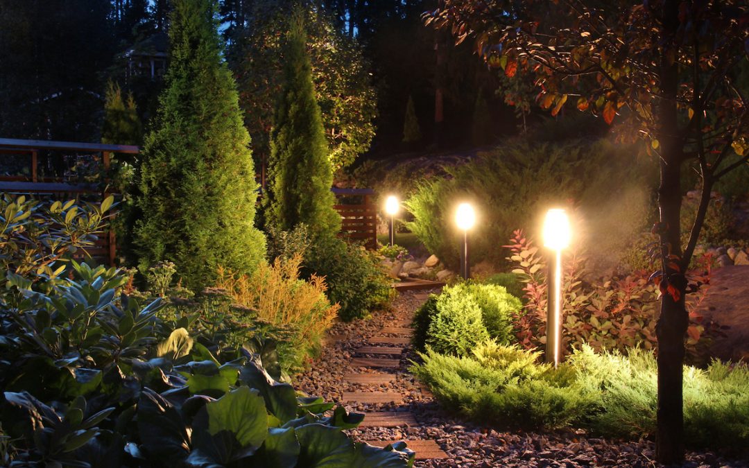 Utilize Lighting to Upgrade Plant Features