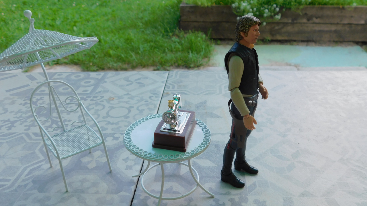 Дачно-Харлинский июнь-июль 2024 108