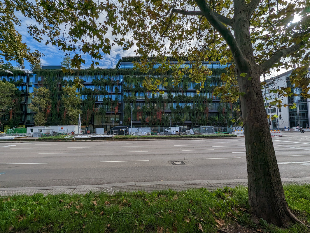 PXL-20221026-105714679-MP.jpg