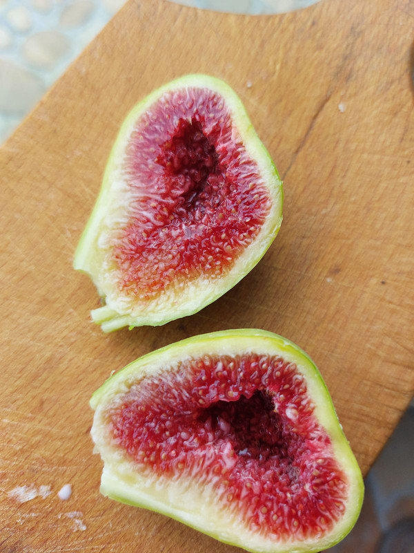 0-02-05-b493e4d68ca76db0ab98b782bd4d127c31b8ecc82c8809c858b69ec13c6d433b_f98feee09d134cf8