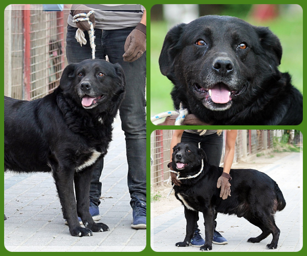 BeFunky-collage (17)