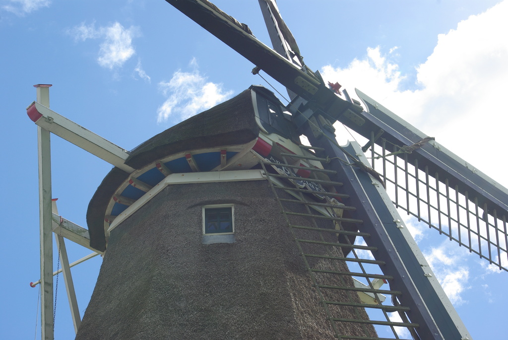 (01464a) De Mars - De Blesse 7