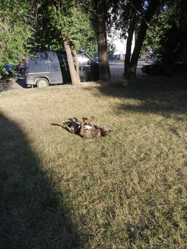 6DC56534-AF48-4E2B-BC47-DA724CA413AC