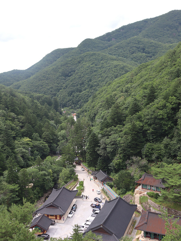 IMG-3234
