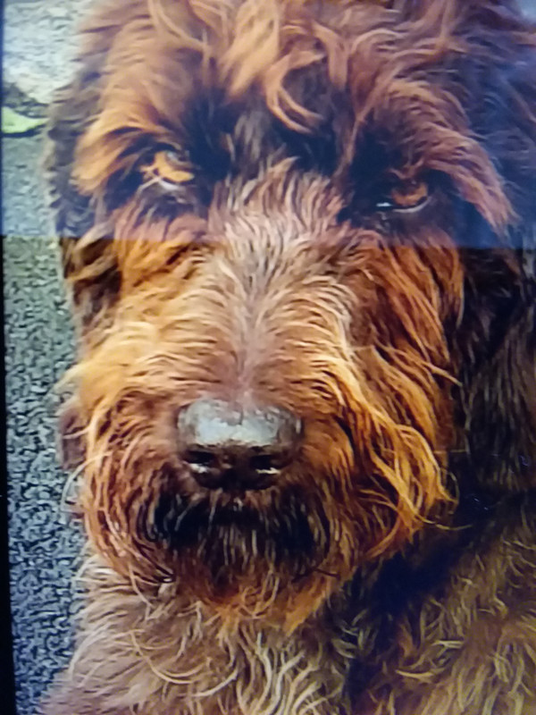 [Image: 20210822-120416.jpg]