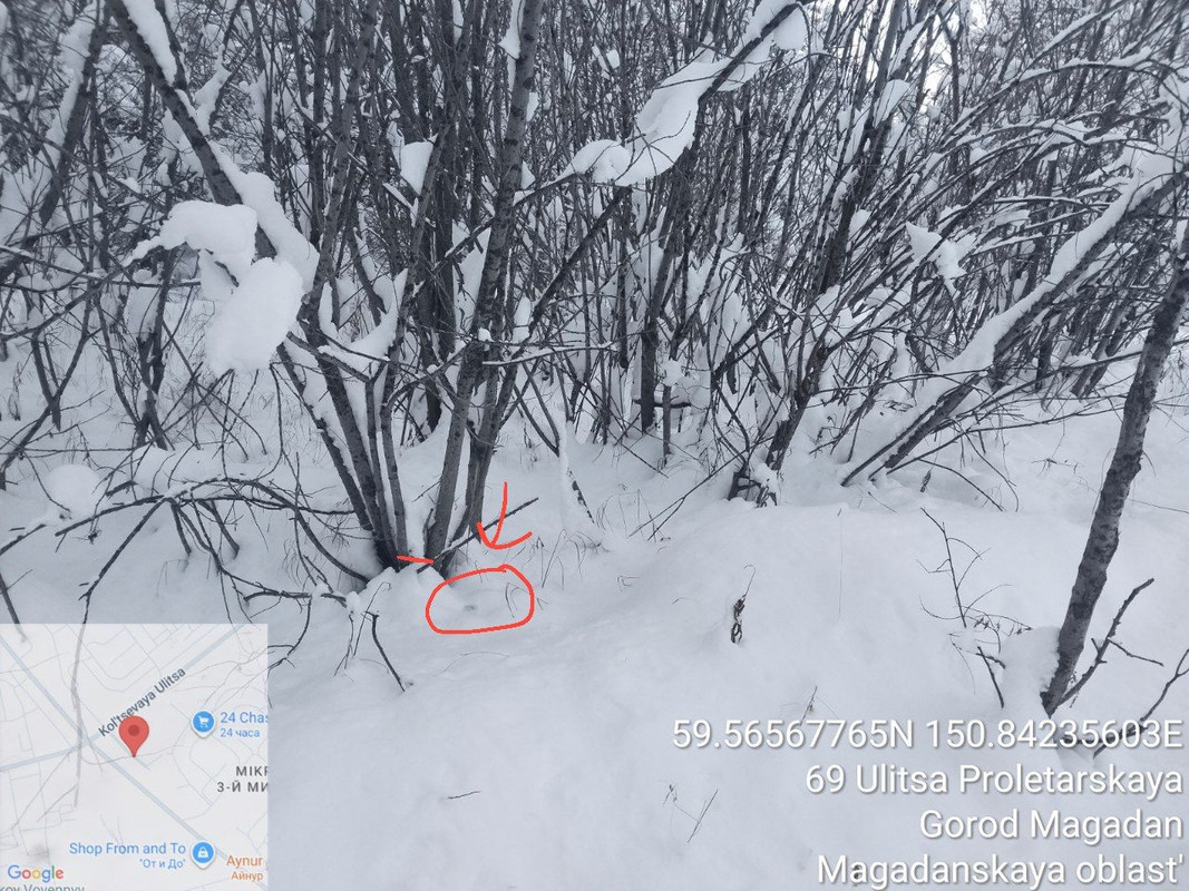 IMG 20251105 001540 136