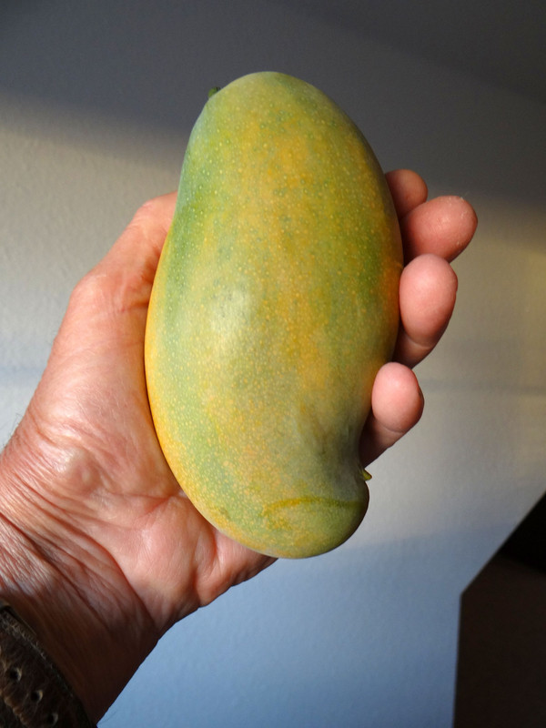 MallikaHarvest