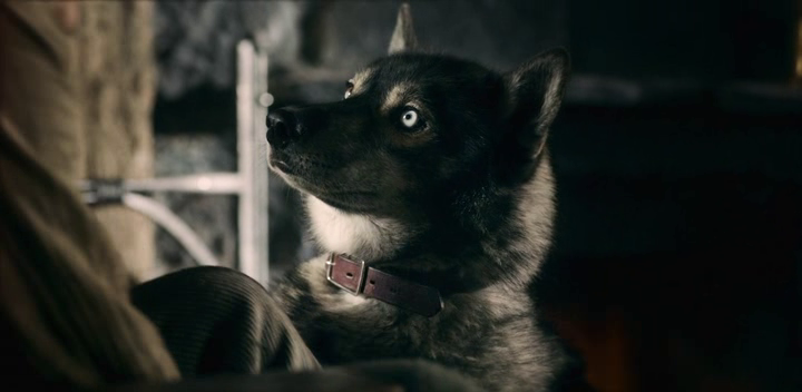 vlcsnap-2020-03-24-20h57m03s011