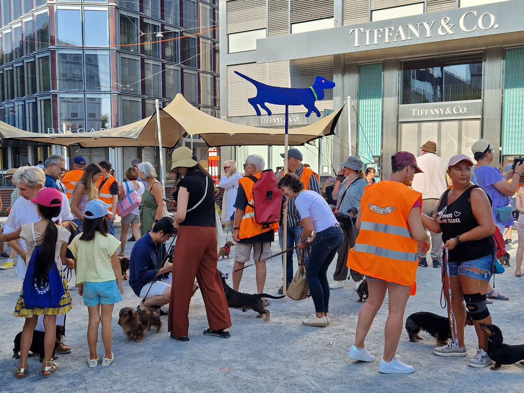 [Image: 20240901-094617.jpg]