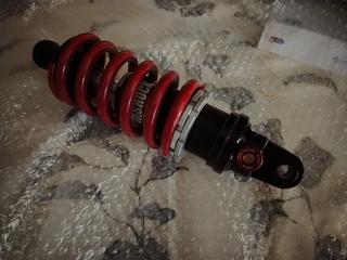 amorto shockfactory