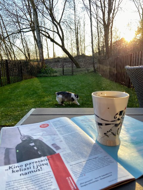 925-E7-CC2-2528-4-D4-A-9316-4-E0312-B6-D