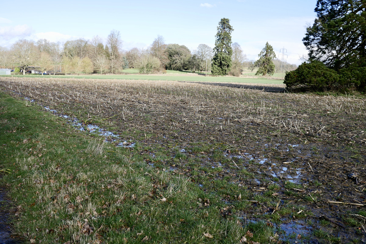 E06320EF-EEDD-4993-82D3-A0E3F3F3FF97