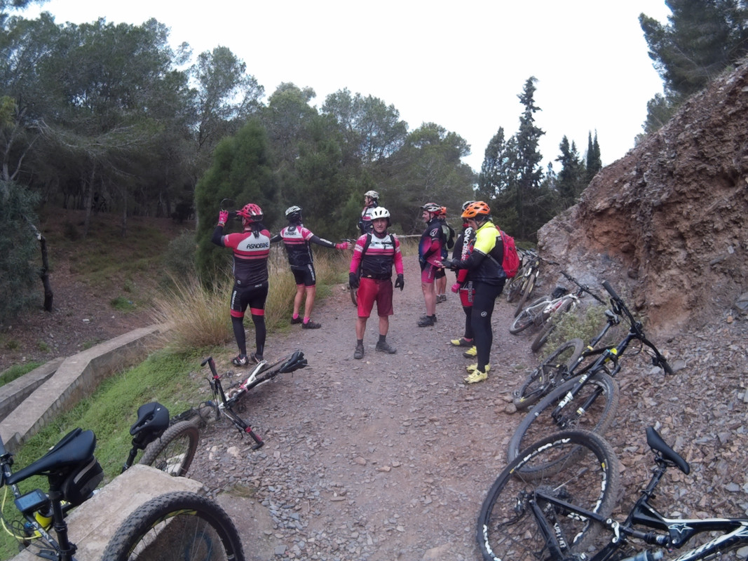 ASNOVESTRE ASNO MAVASA (8)