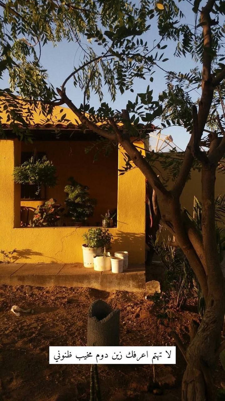 BFB51ACA-8A6A-4A29-A2C3-F441F28FCA62