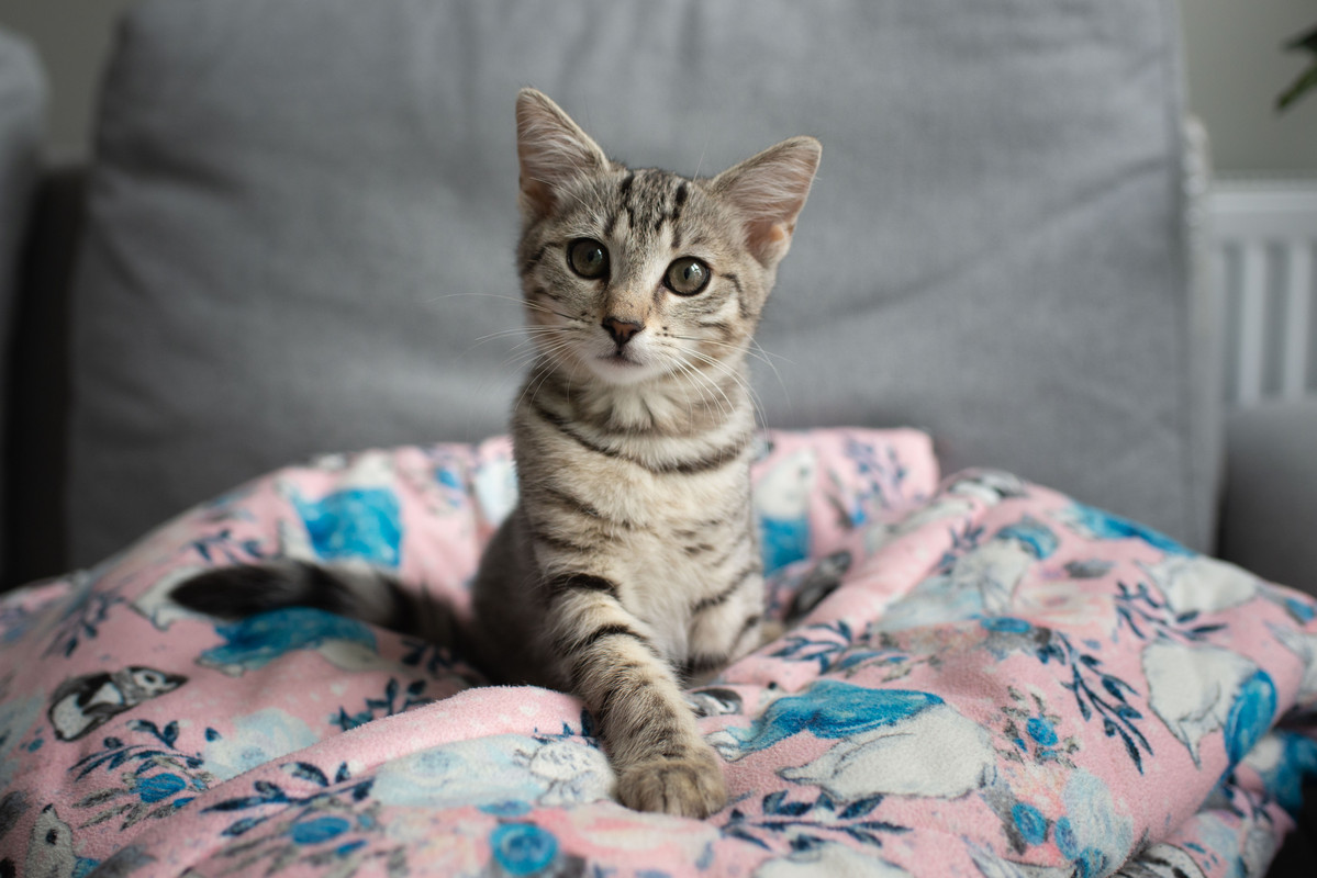 EFC4E4A2-554C-4787-B11A-7D992B29DAD4