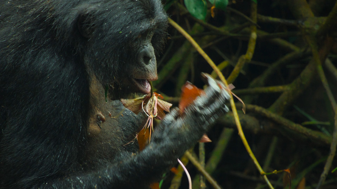 Queens  S01E02 Disney  1080p WEB DDP x264-NM21vi.mkv_snapshot_31.59.543