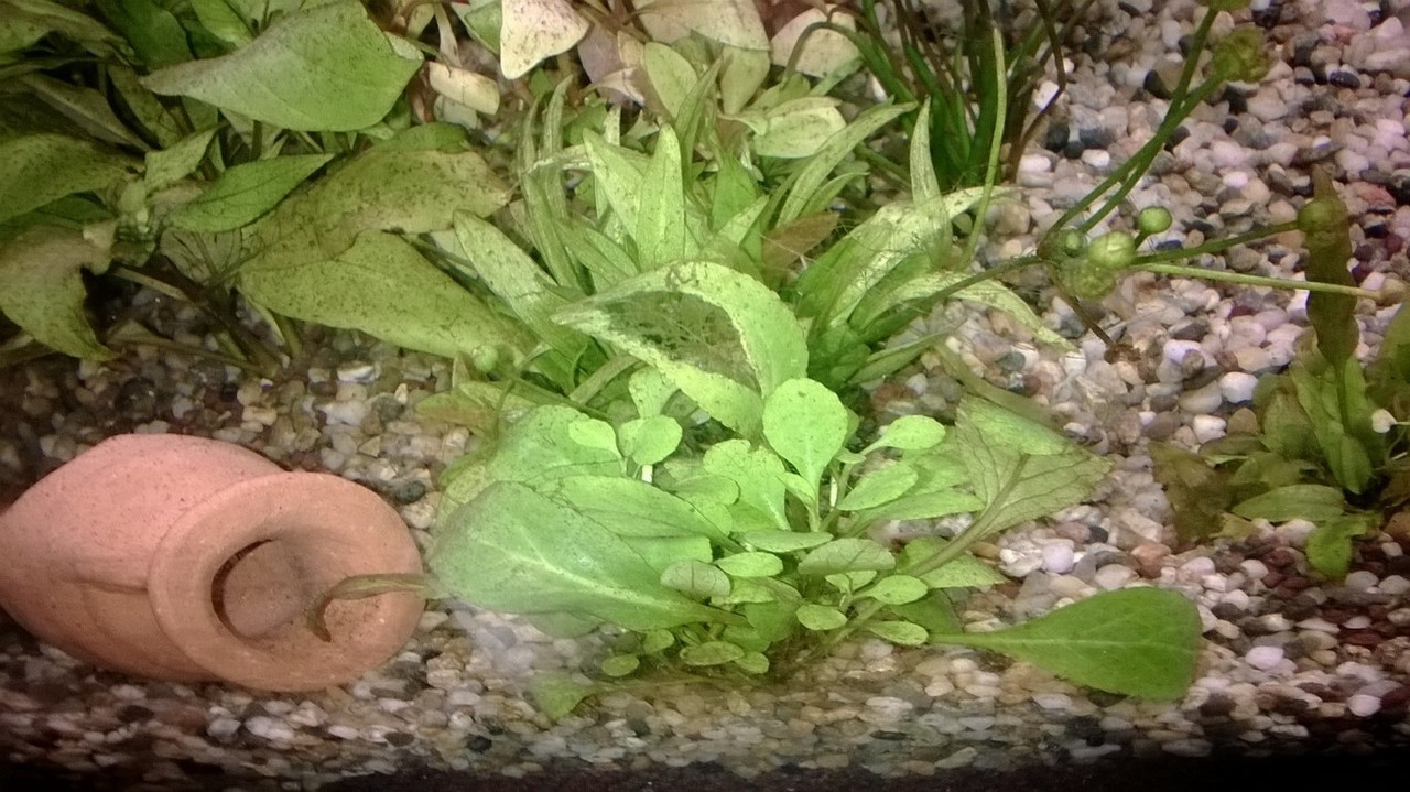 WP_20140217_002 (FILEminimizer)