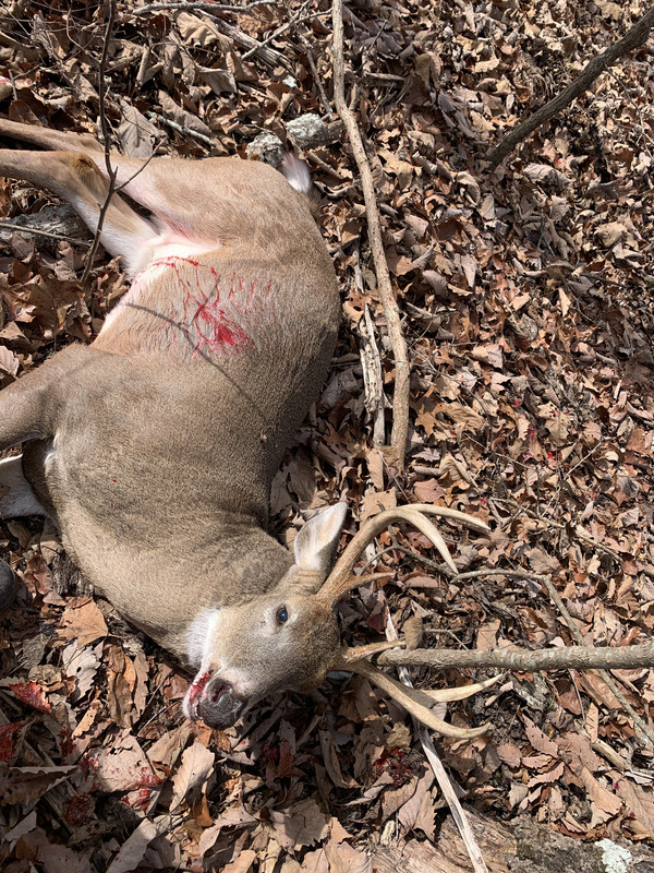 6AB7D3F5-7915-4178-B8BA-2B5BF63F7EB2