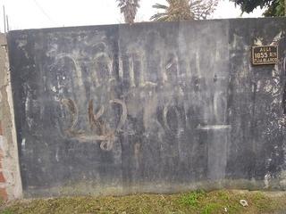 67213759-1181629105331486-2804329635280584704-n