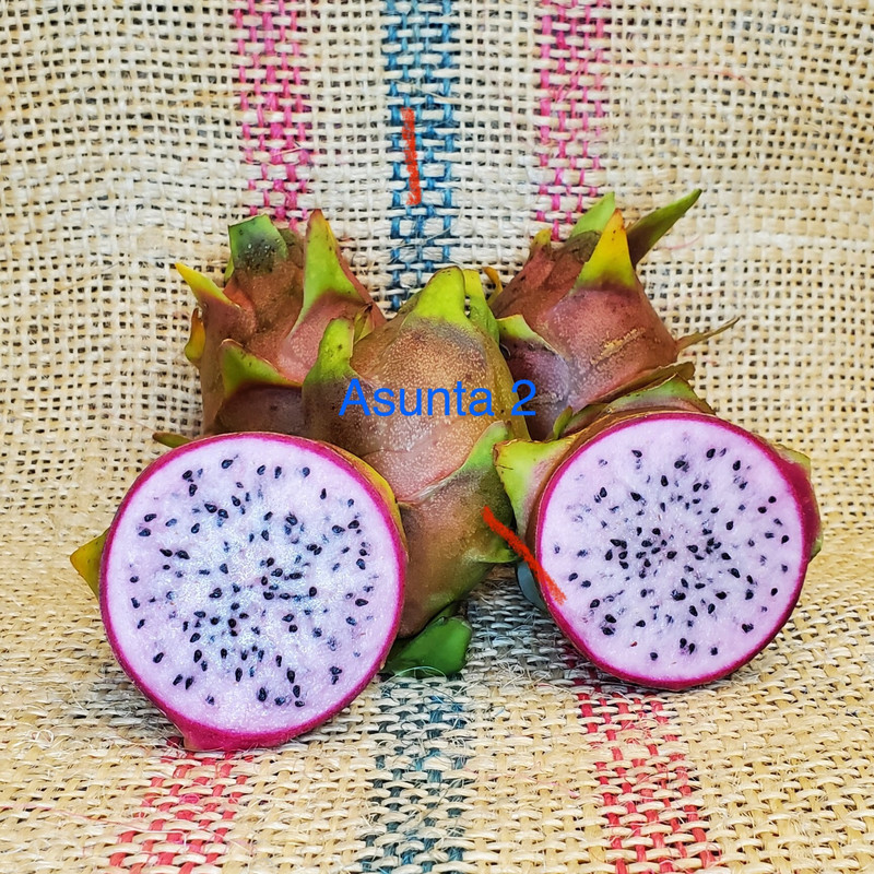 图片_20250122223553