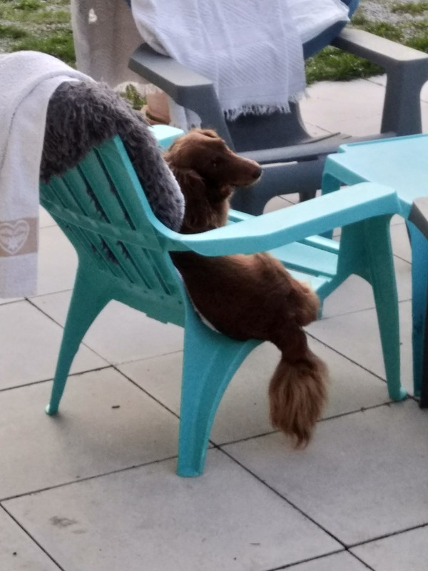 [Image: IMG-20220915-082150.jpg]