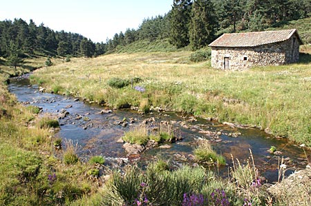 moulin-courbet01.jpg