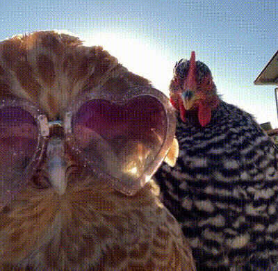 20240313-192337-thumb-gif-5ba0174cd677d8