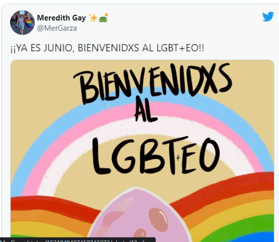 Memes por mes del orgullo LGBT+