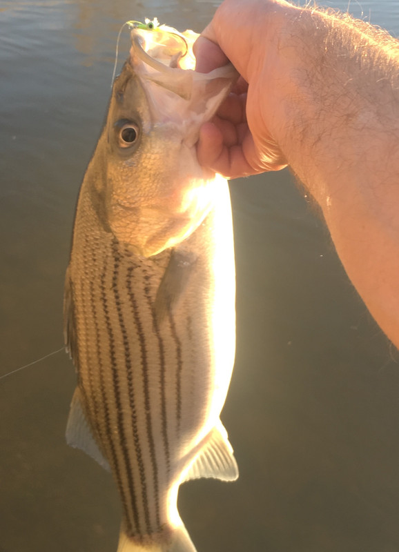 A1A9B3CB-0866-468B-9DD3-410E4484878A