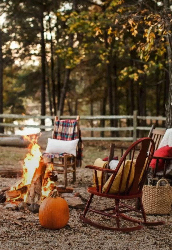 Screenshot_20231201_000551_Pinterest