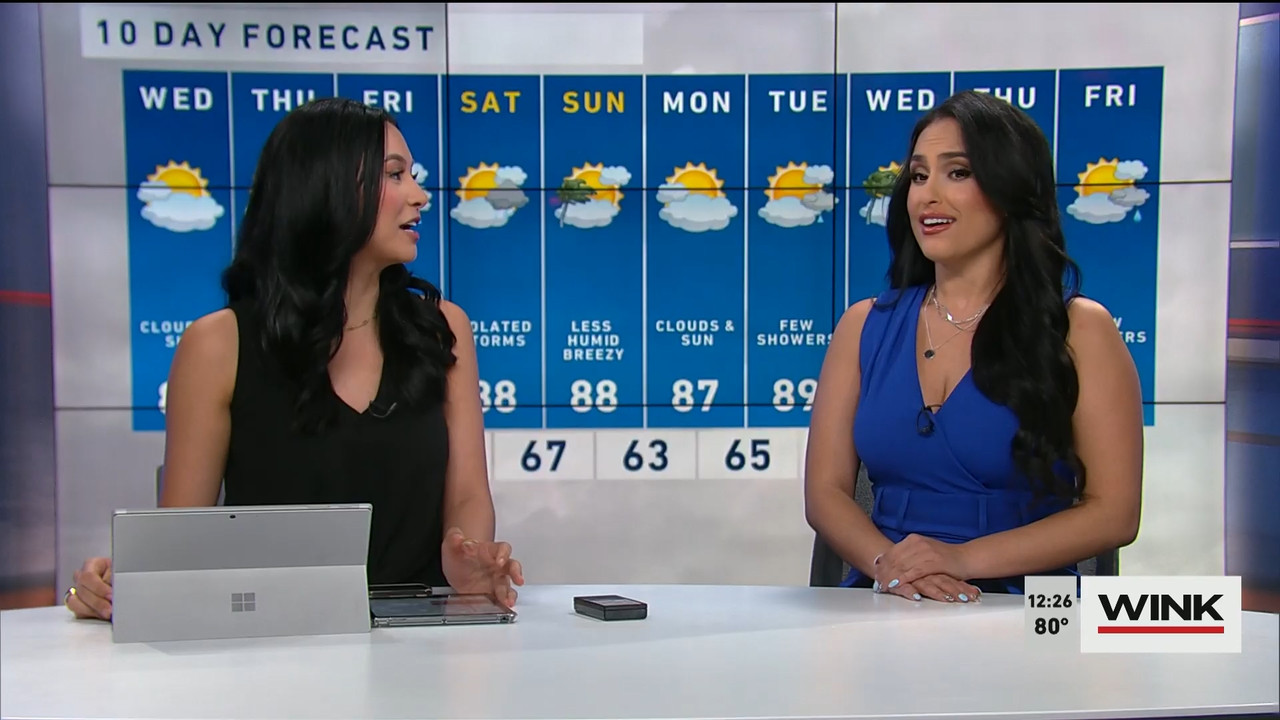 04.19 - 17.00.00 - The WINK Noon News  ᴺᵉʷ. Midday news update..ts_snapshot_32.14.030