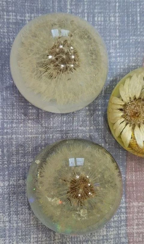 2025-07-11 13_36_32-СмолоТерапия - официальная страница во всех регионах, отзывы на Авито