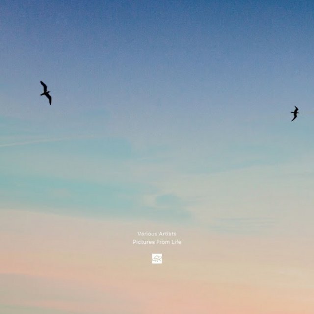 Pictures from Life (2020) mp3 320 Kbps