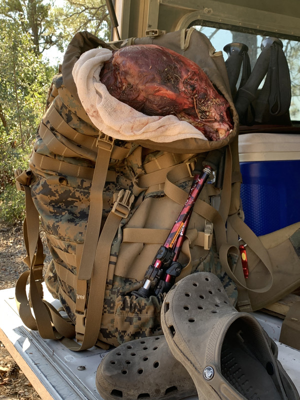 kifaru whitetail pack