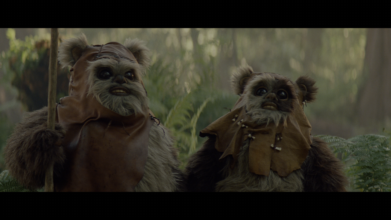 00800.mpls_snapshot_02.06.28.714