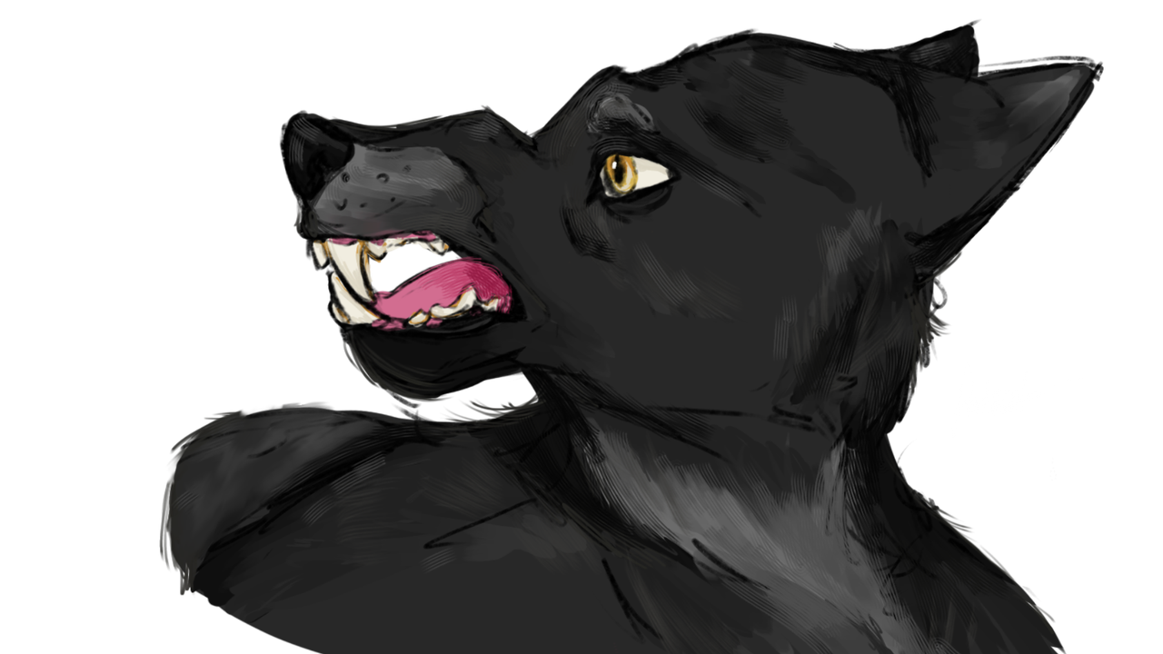 Untitled430.png