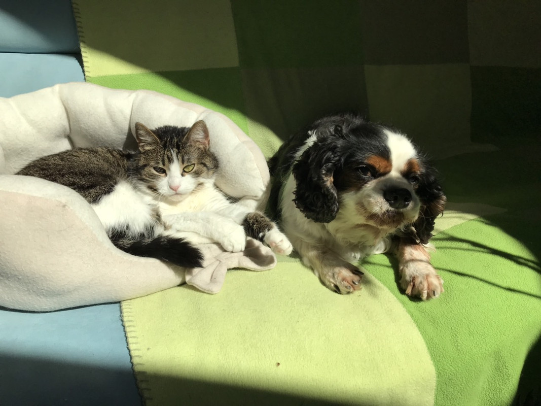 марго и кинг1