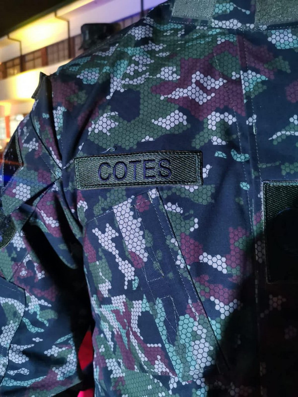 Proyecto Camaleón Bicentenario008