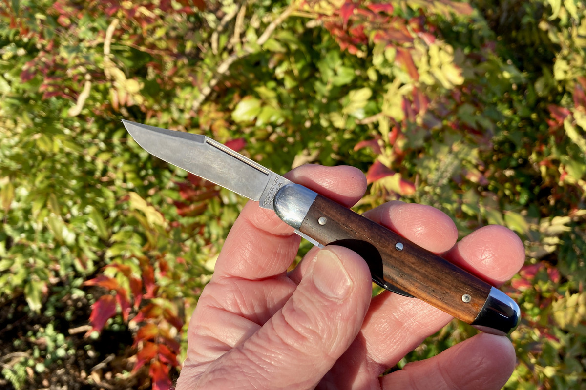 E9A24897-6054-41F9-9C55-6B7BECE0A603