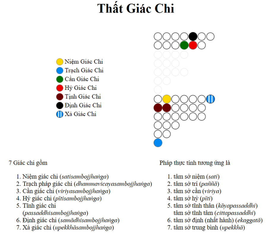 [Image: phap-hoc.png]