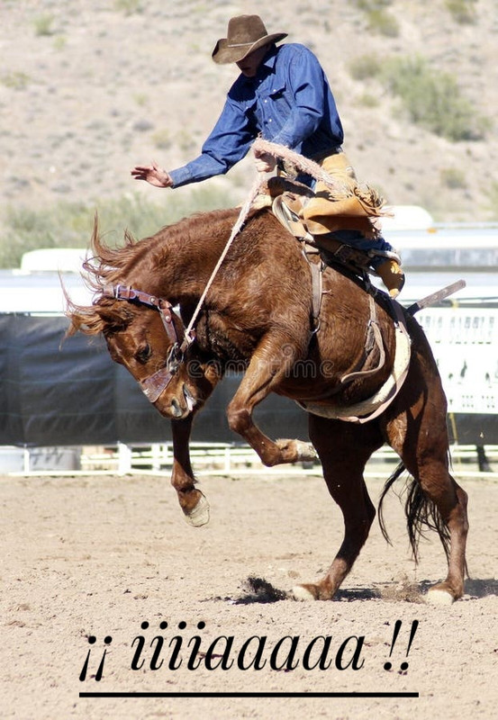 jinete bucking del bronc del rodeo 20951071 02