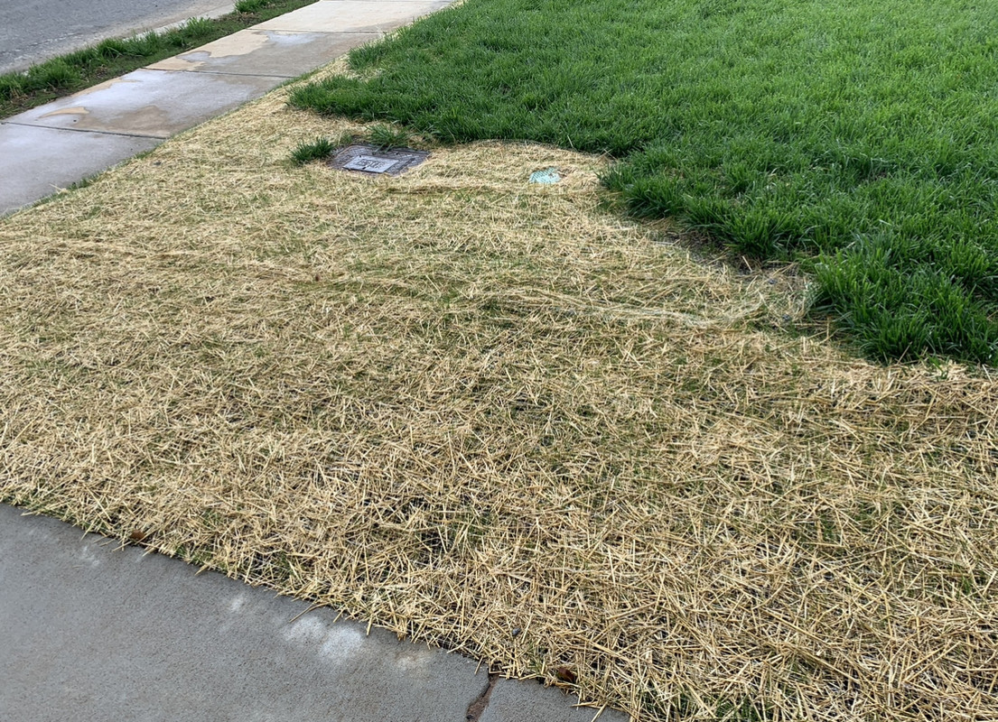 BE0EF0A2-696A-4651-BAD1-971D47CDDC54