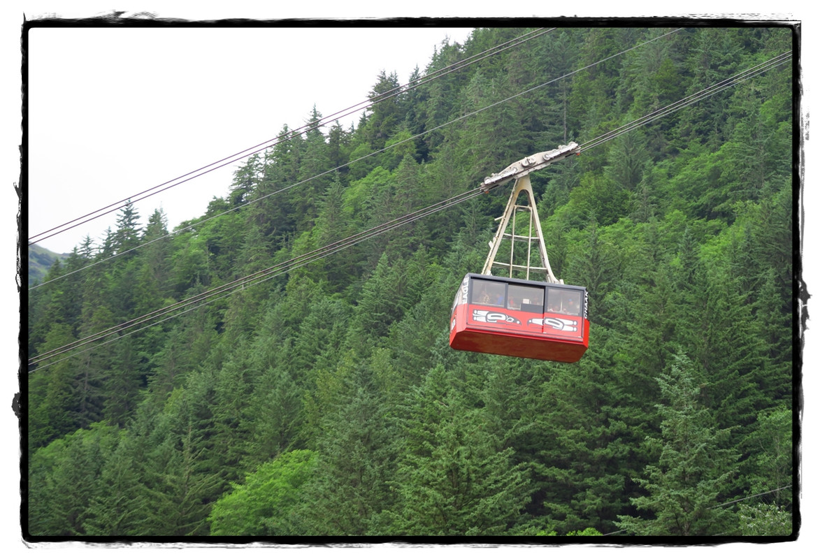 Alaska por tierra, mar y aire - Blogs de America Norte - 24 de junio. Juneau (12)