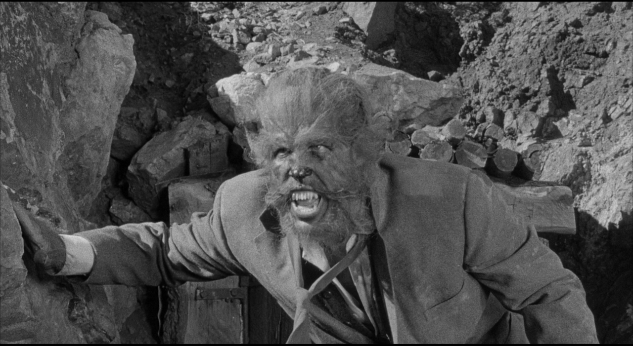 THE WEREWOLF REFERENCE (4)