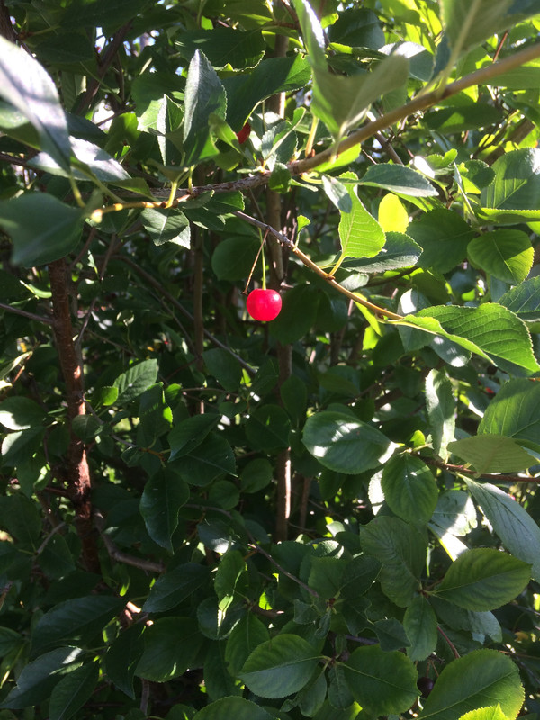 9DCBB76C-55F9-4978-92AE-BE86F3D95233