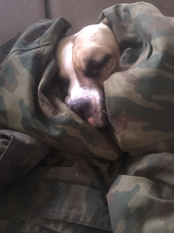 D4C4F5F8-ACB1-4170-A940-2692378EDCAC